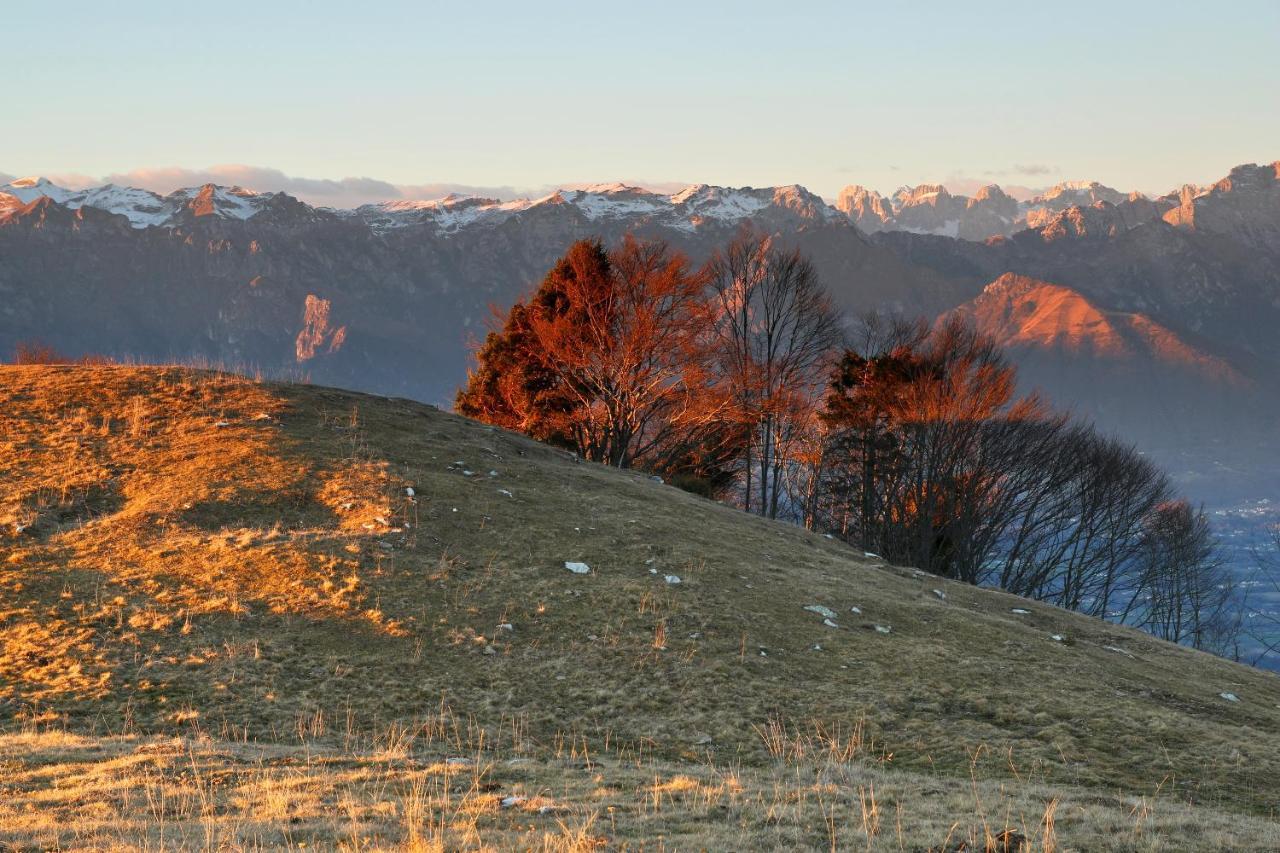 Agriturismo Riva Dei Coz Sequsino Екстериор снимка