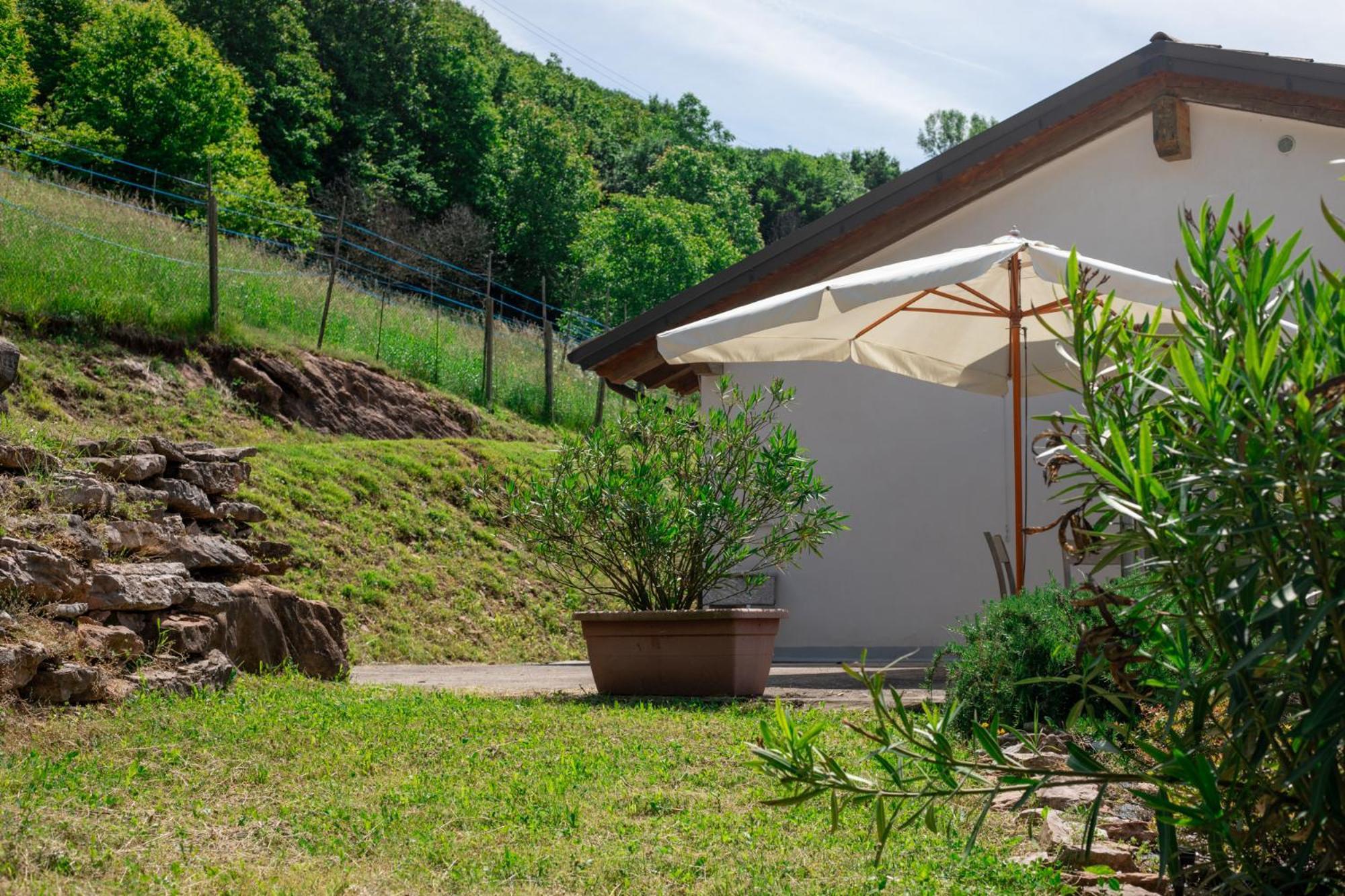 Agriturismo Riva Dei Coz Sequsino Екстериор снимка