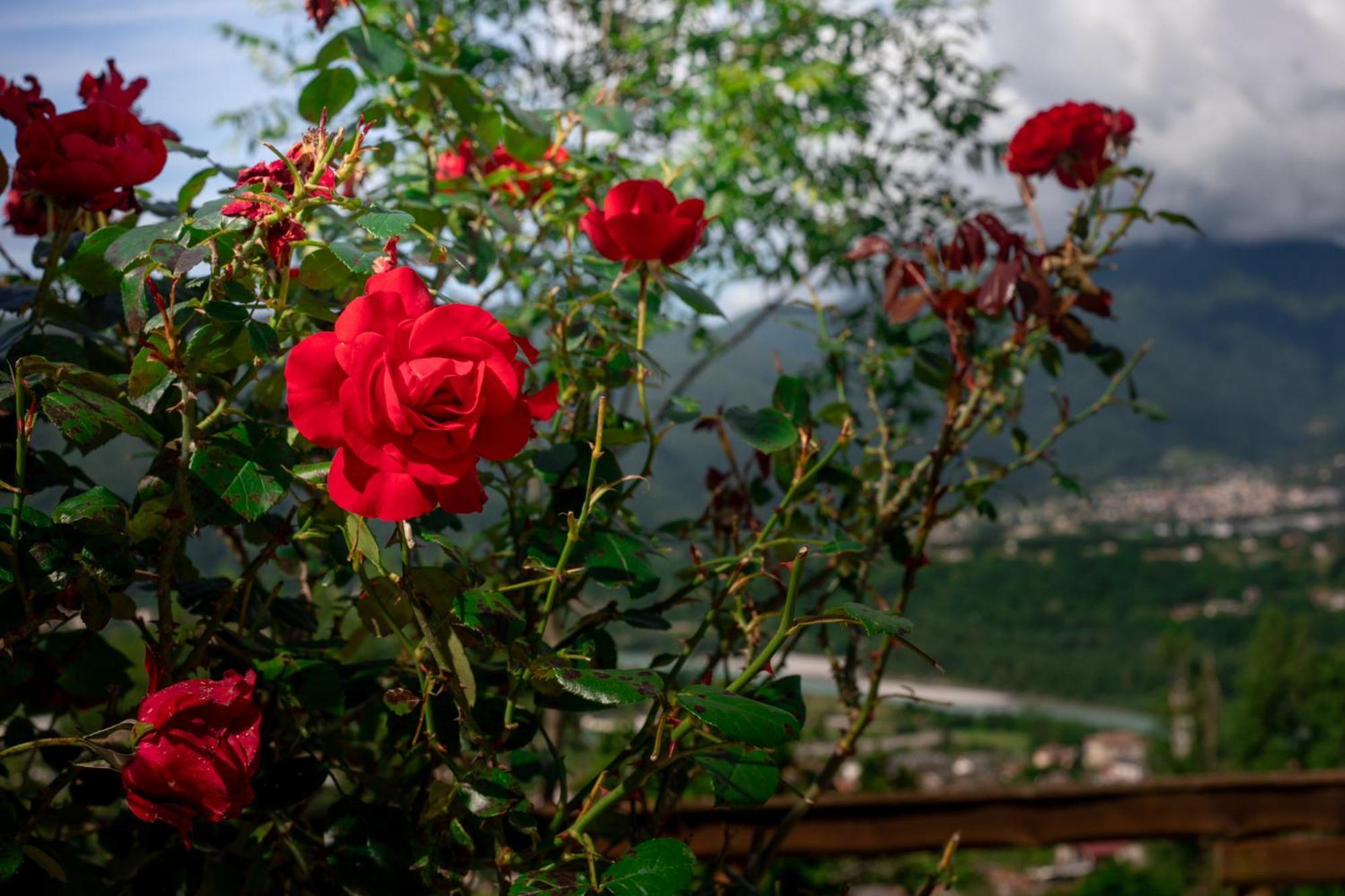 Agriturismo Riva Dei Coz Sequsino Екстериор снимка